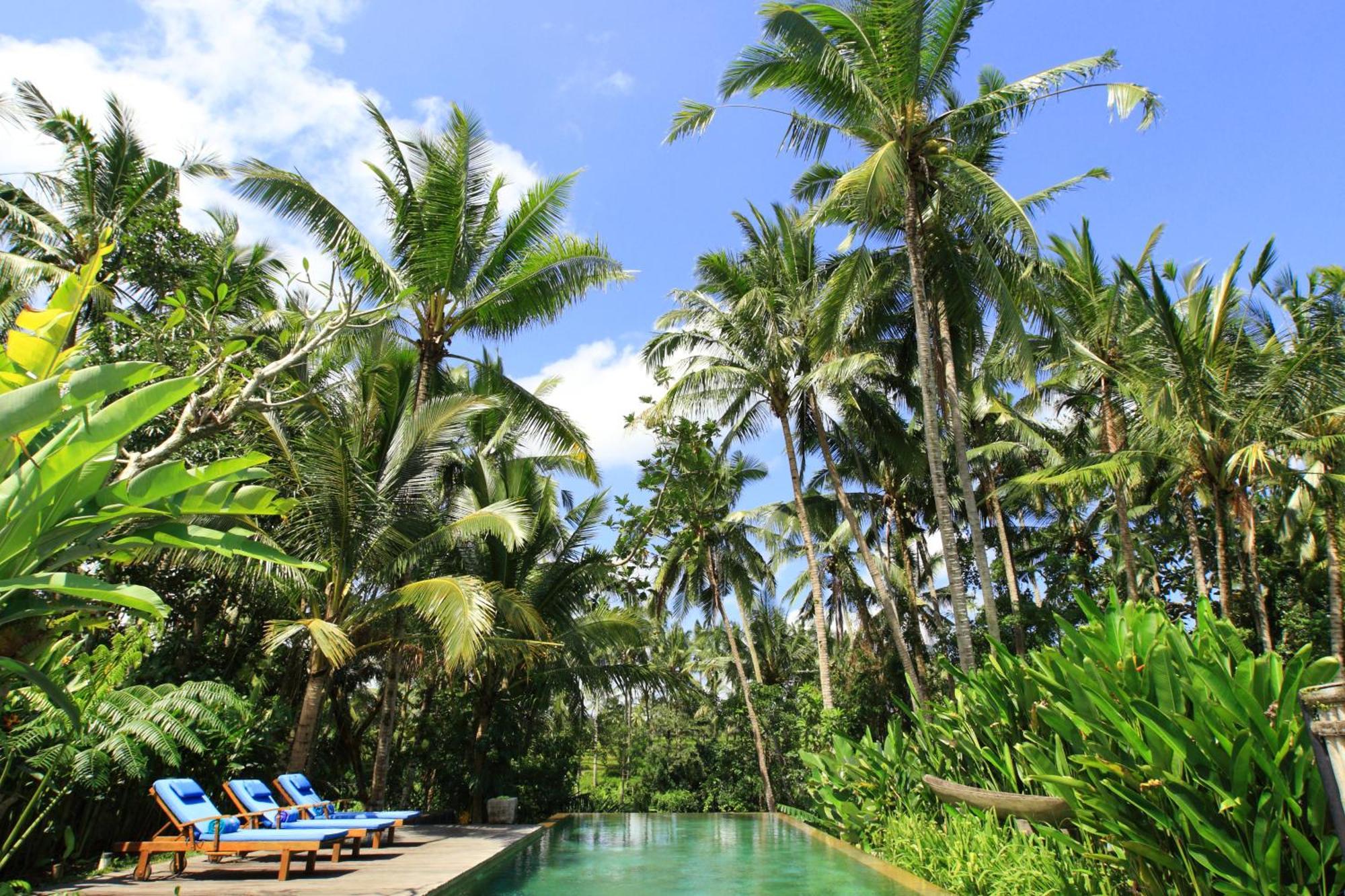 Swarapadi Villa Ubud Dış mekan fotoğraf
